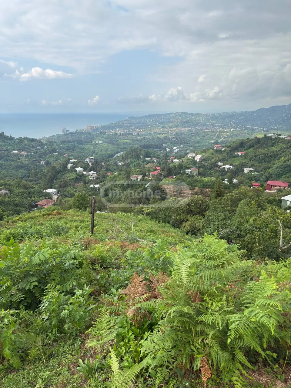 Non-Agricultural Plot For Sale In Makhinjauri, In Batumi view 2