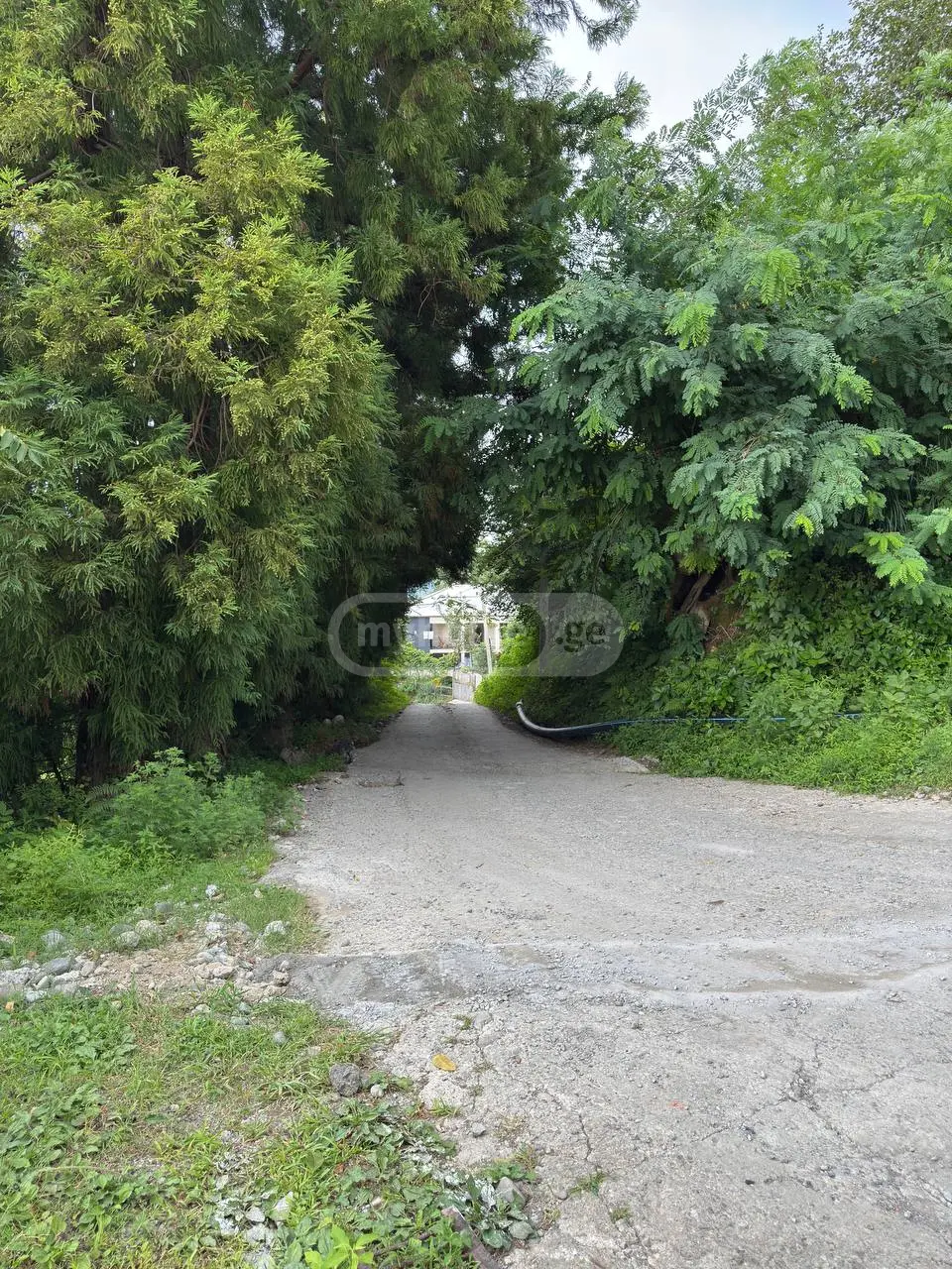Non-Agricultural Plot For Sale In Makhinjauri, In Batumi view 8