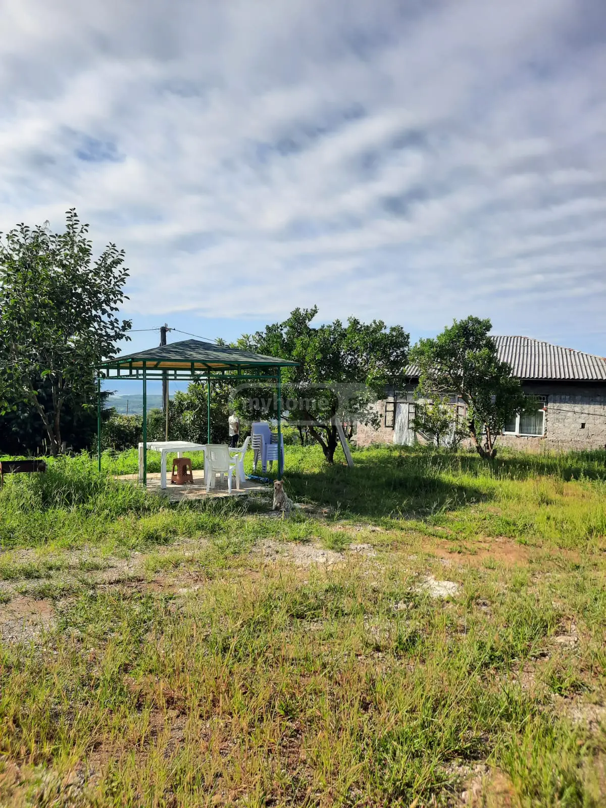 იყიდება Investment / For Construction Plot In Akhalsopeli, In Khelvachauri Municipalityში view 7