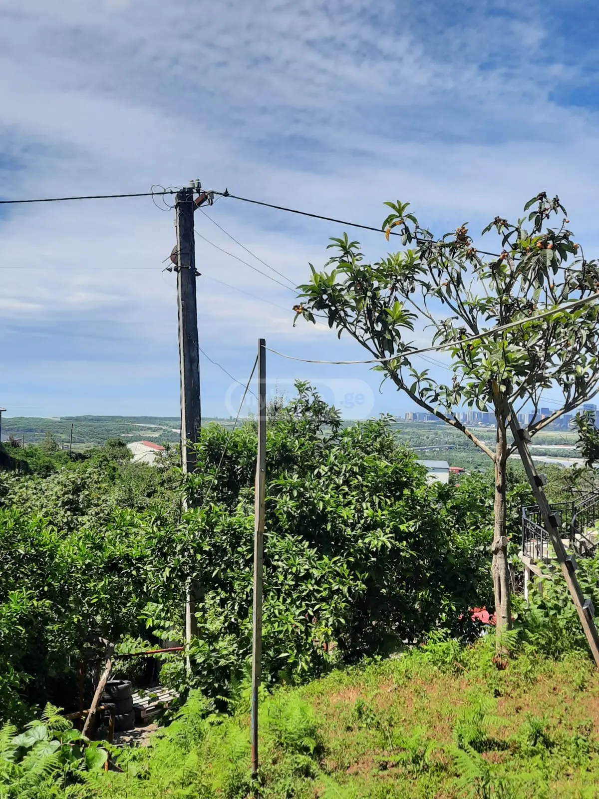იყიდება Investment / For Construction Plot In Akhalsopeli, In Khelvachauri Municipalityში view 6