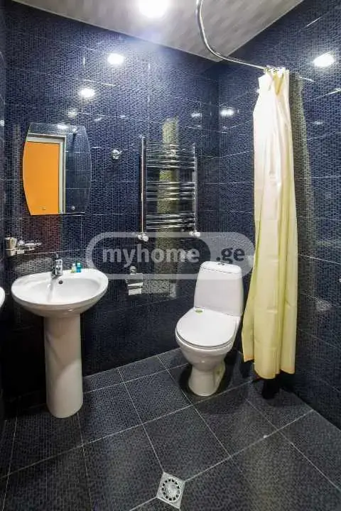 2 Room Private House For Rent In Borjomi view 2