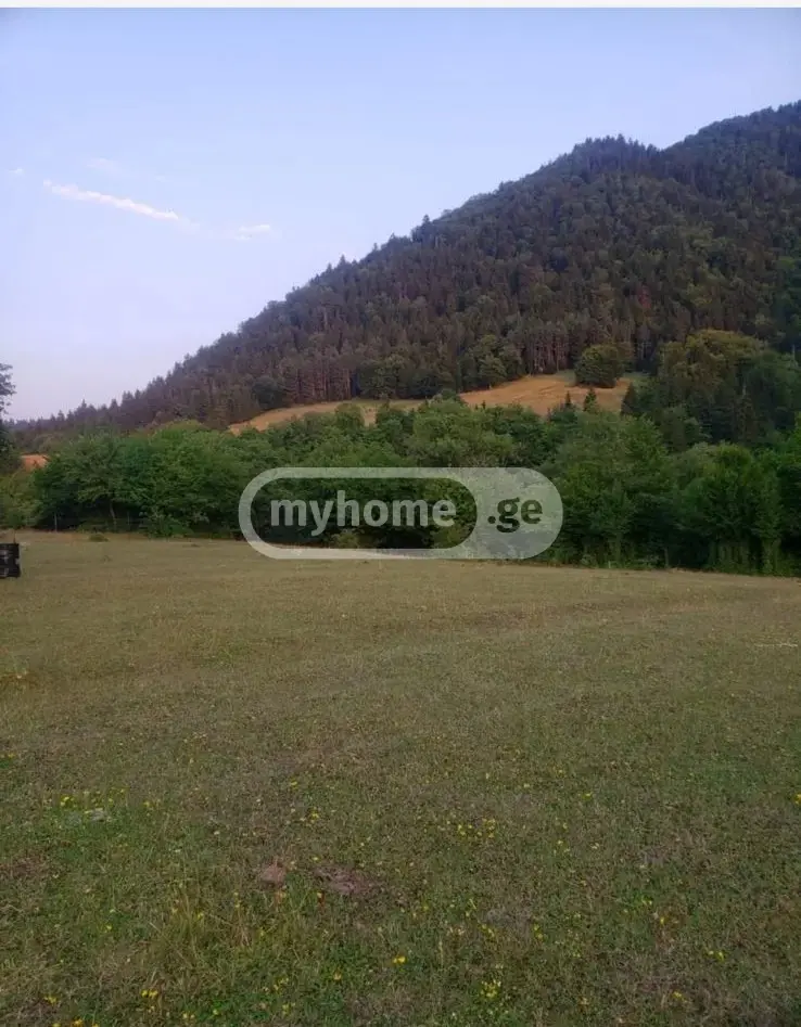 Non-Agricultural Plot For Sale In Sadgeri, In Borjomi Municipality view 1
