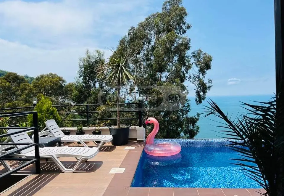 9 Room Country House Daily Rent Aghmasheneblis Ubani, In Batumi view 11