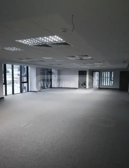 Full Building Commercial Area For Rent In Sololaki view 1