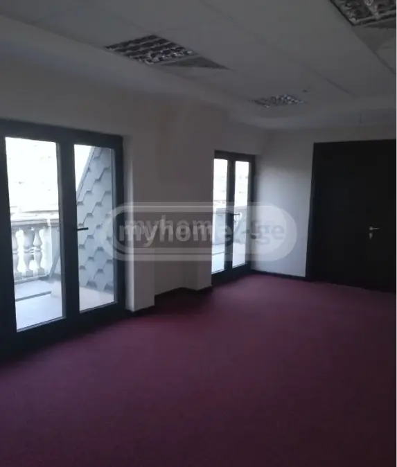 Full Building Commercial Area For Rent In Sololaki view 8