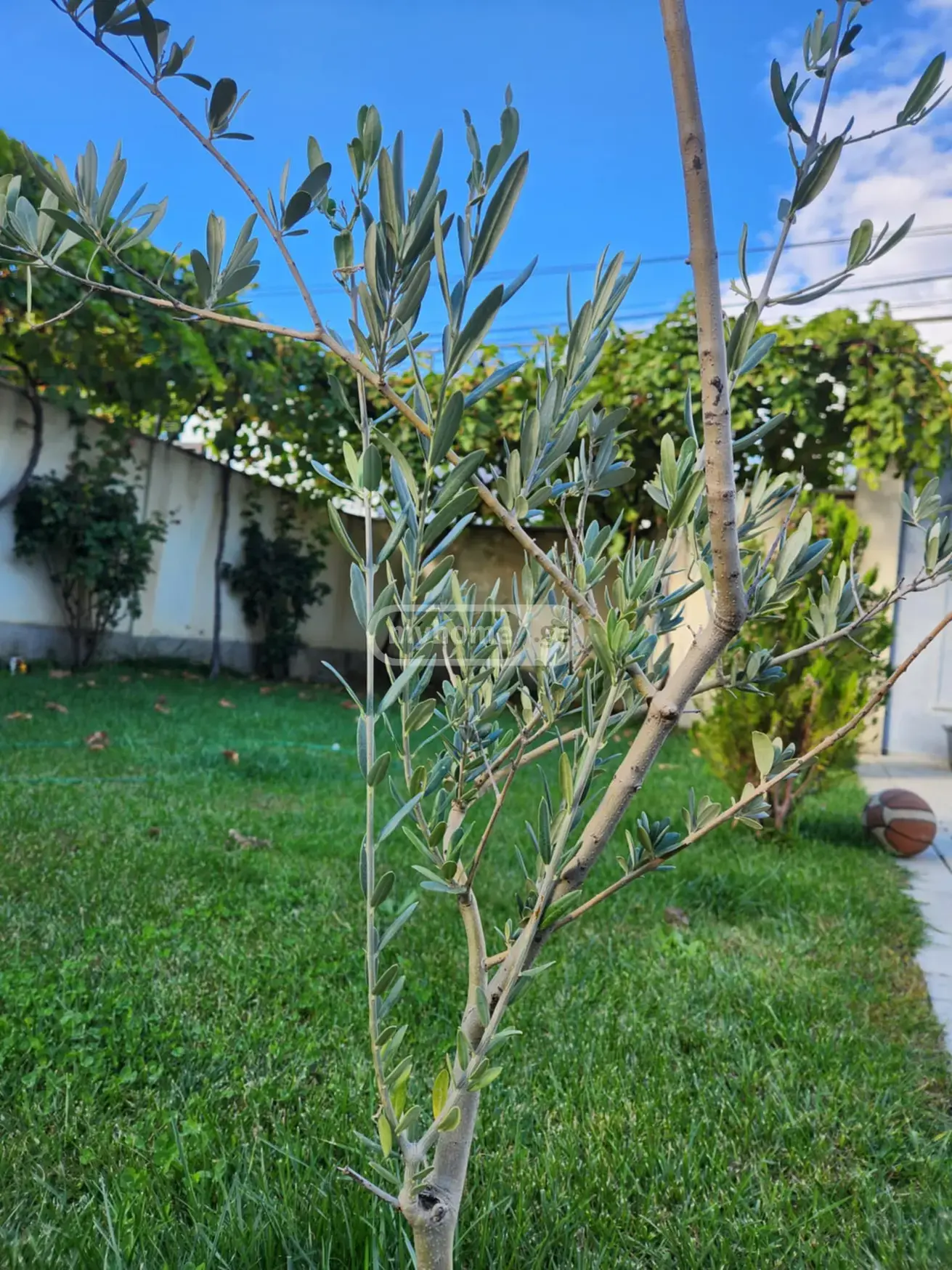 6 Room Private House For Sale view 7