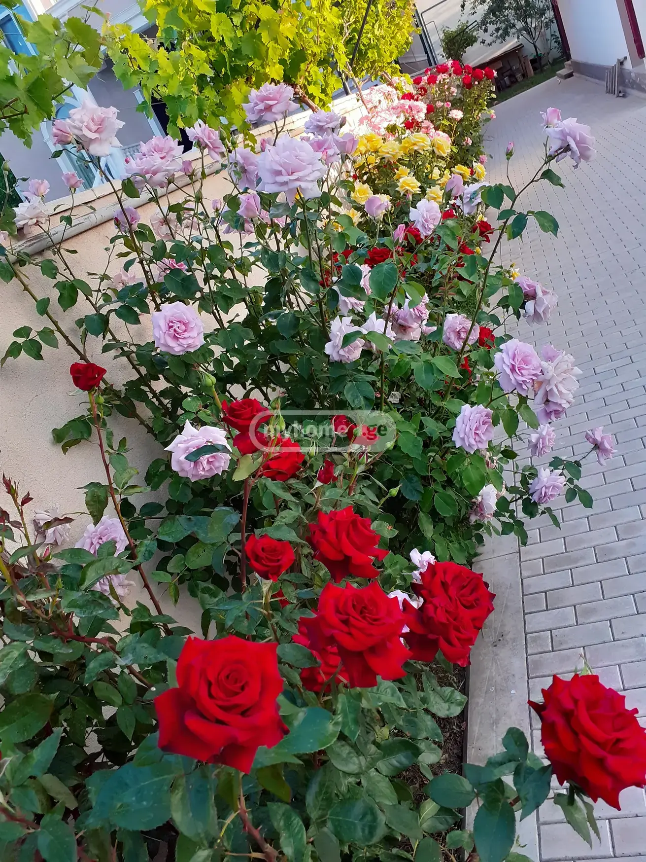 6 Room Private House For Sale view 9