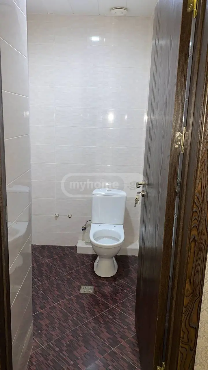 3 Room Apartment For Rent In Nadzaladevi view 10