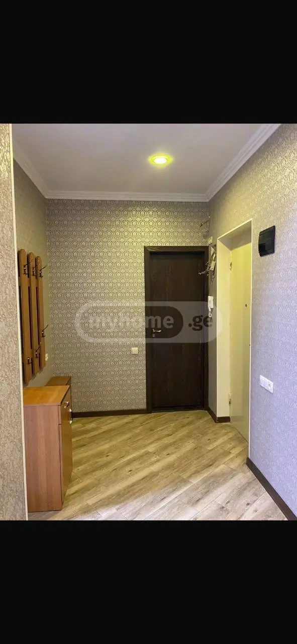 3 Room Apartment For Rent In Nadzaladevi view 9