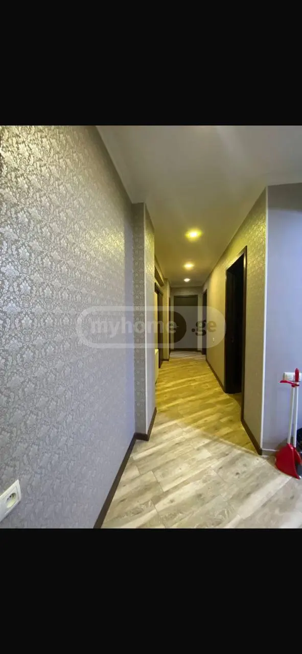 3 Room Apartment For Rent In Nadzaladevi view 5