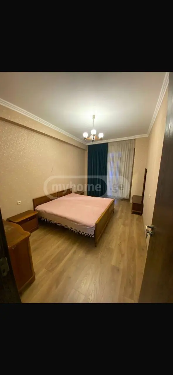 3 Room Apartment For Rent In Nadzaladevi view 8