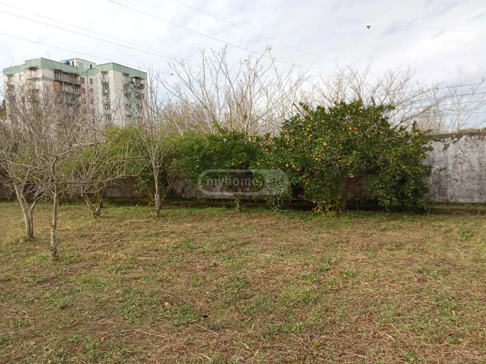იყიდება Non-Agricultural Plot In Fotiში view 3