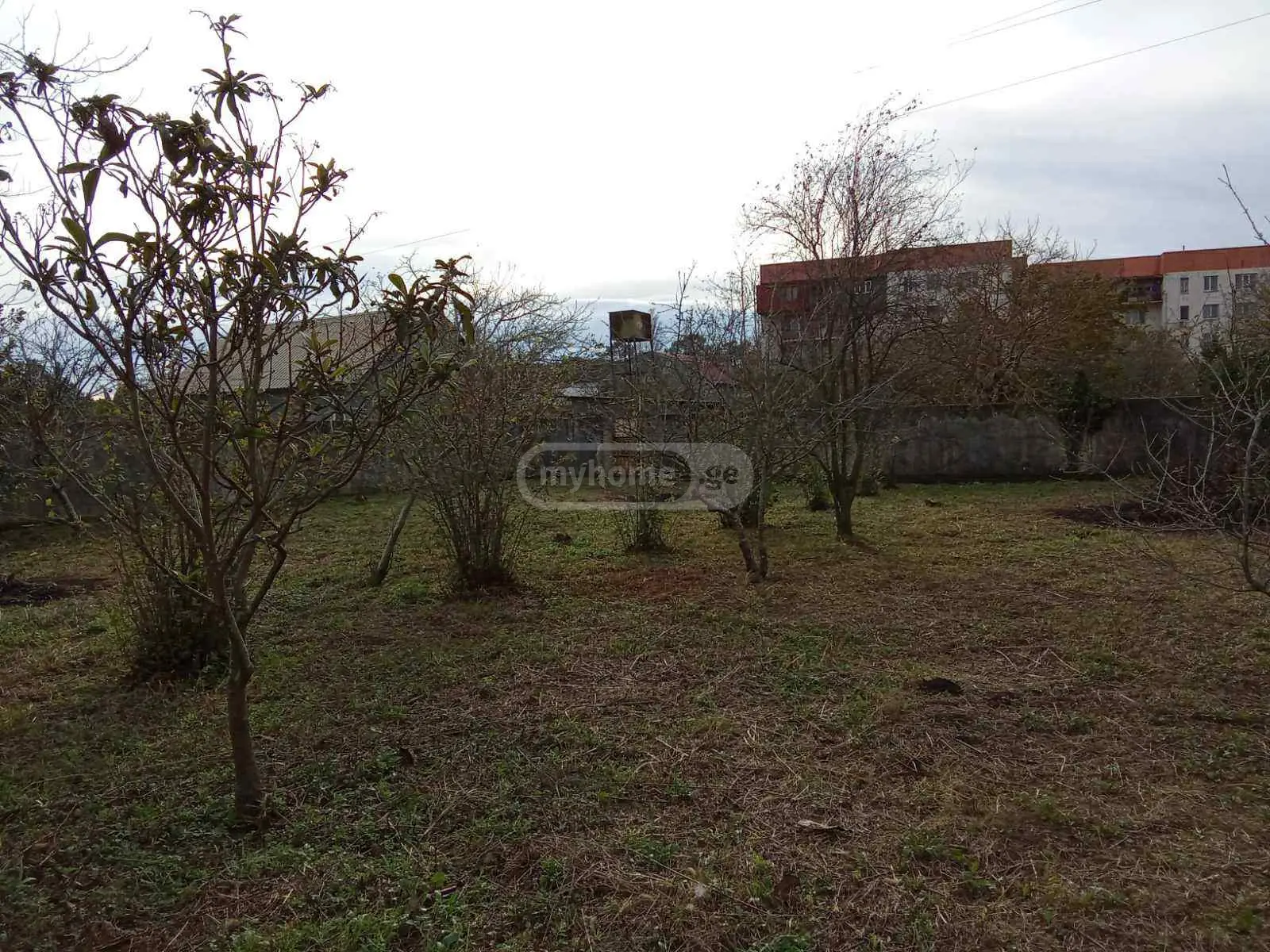 იყიდება Non-Agricultural Plot In Fotiში view 4