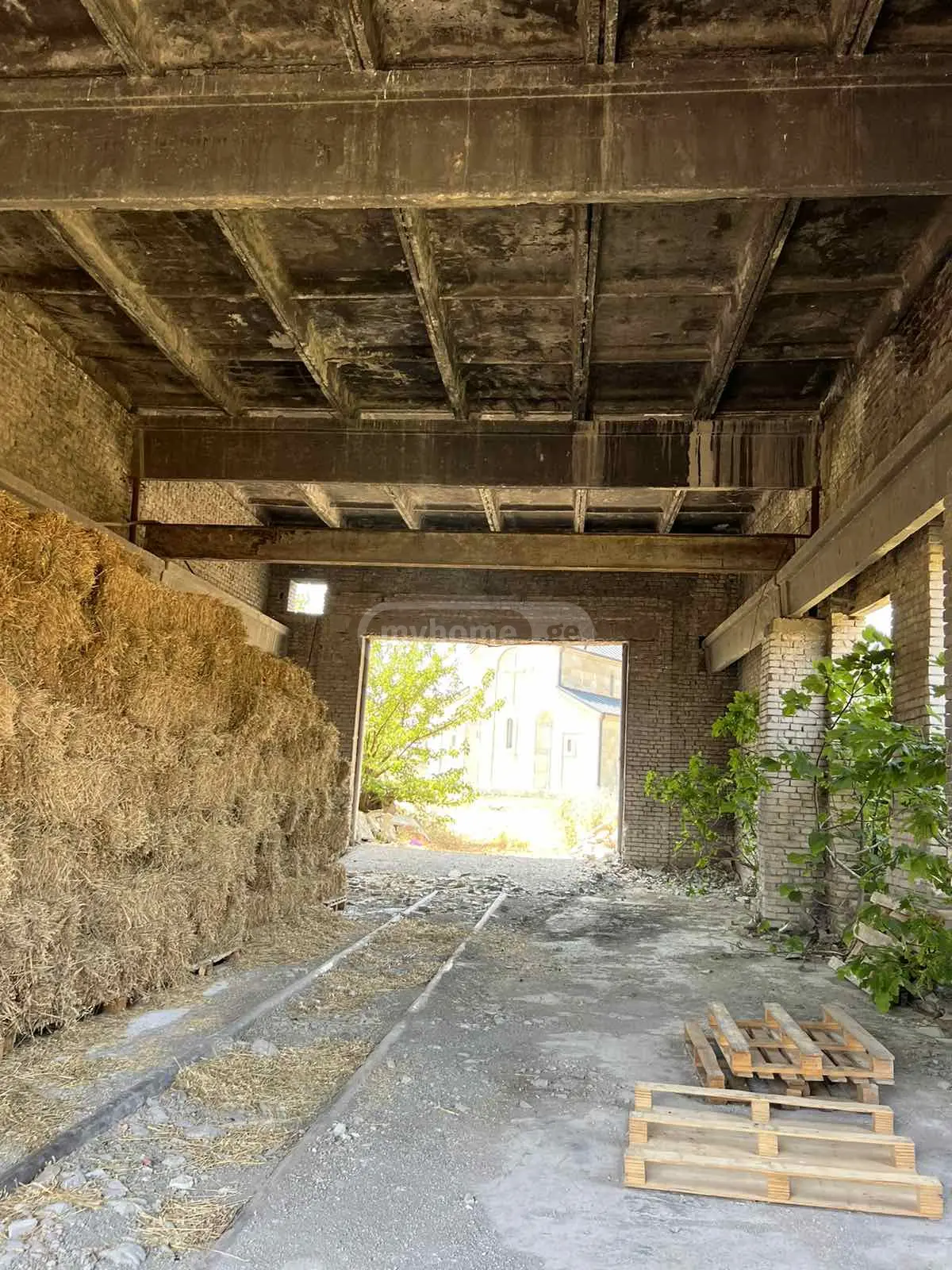 Universal Commercial Area For Sale In Suburbs Of Tbilisi, In Gardabani view 13