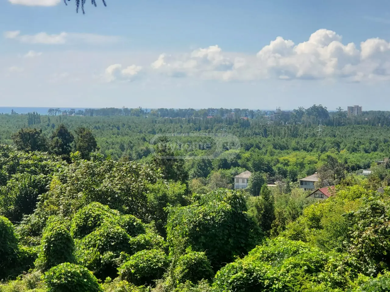 Agricultural Plot For Sale In Ureki, In Ozurgeti Municipality view 3