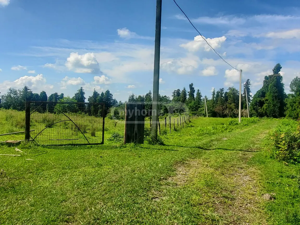 Agricultural Plot For Sale In Ureki, In Ozurgeti Municipality view 7