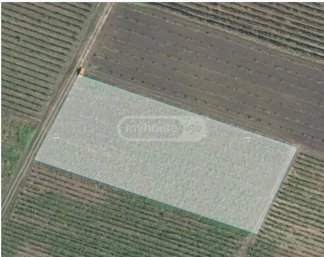 იყიდება Agricultural Plot In Arashenda, In Gurjaani Municipalityში view 1