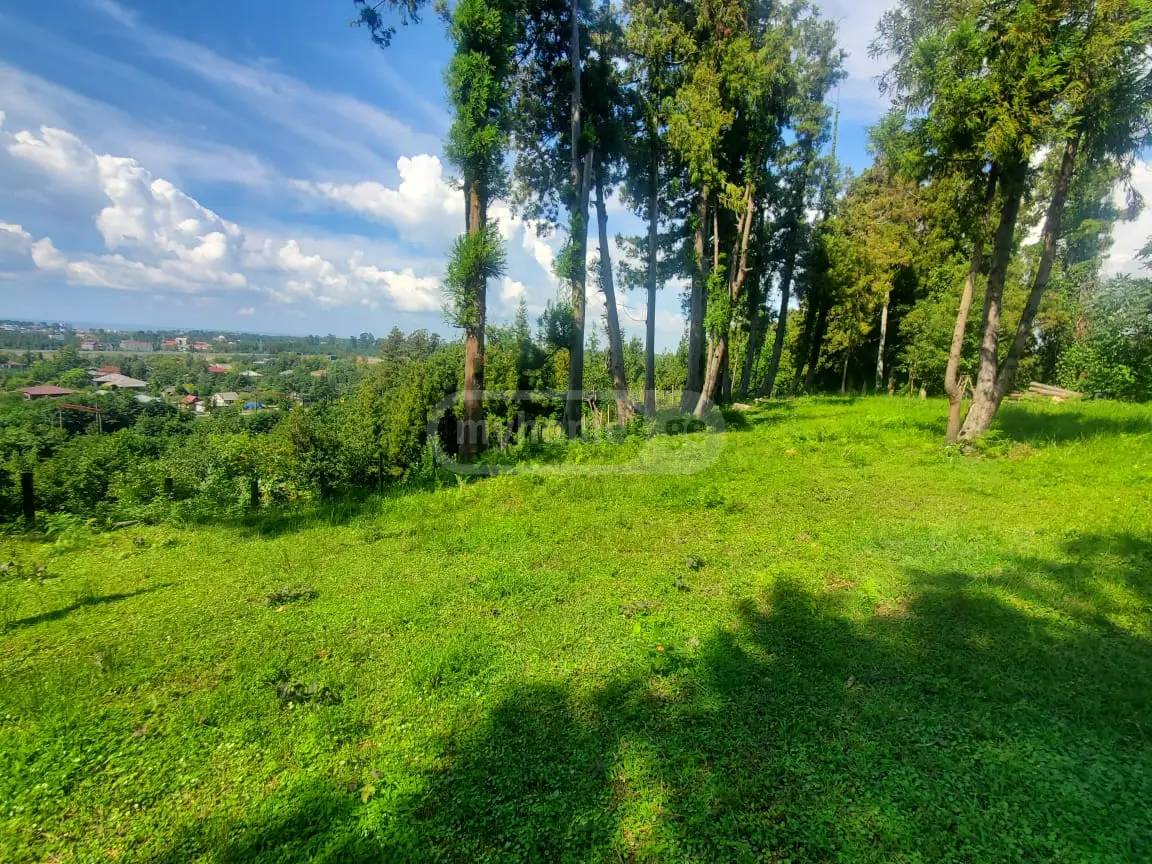Agricultural Plot For Sale In Ureki, In Ozurgeti Municipality view 1