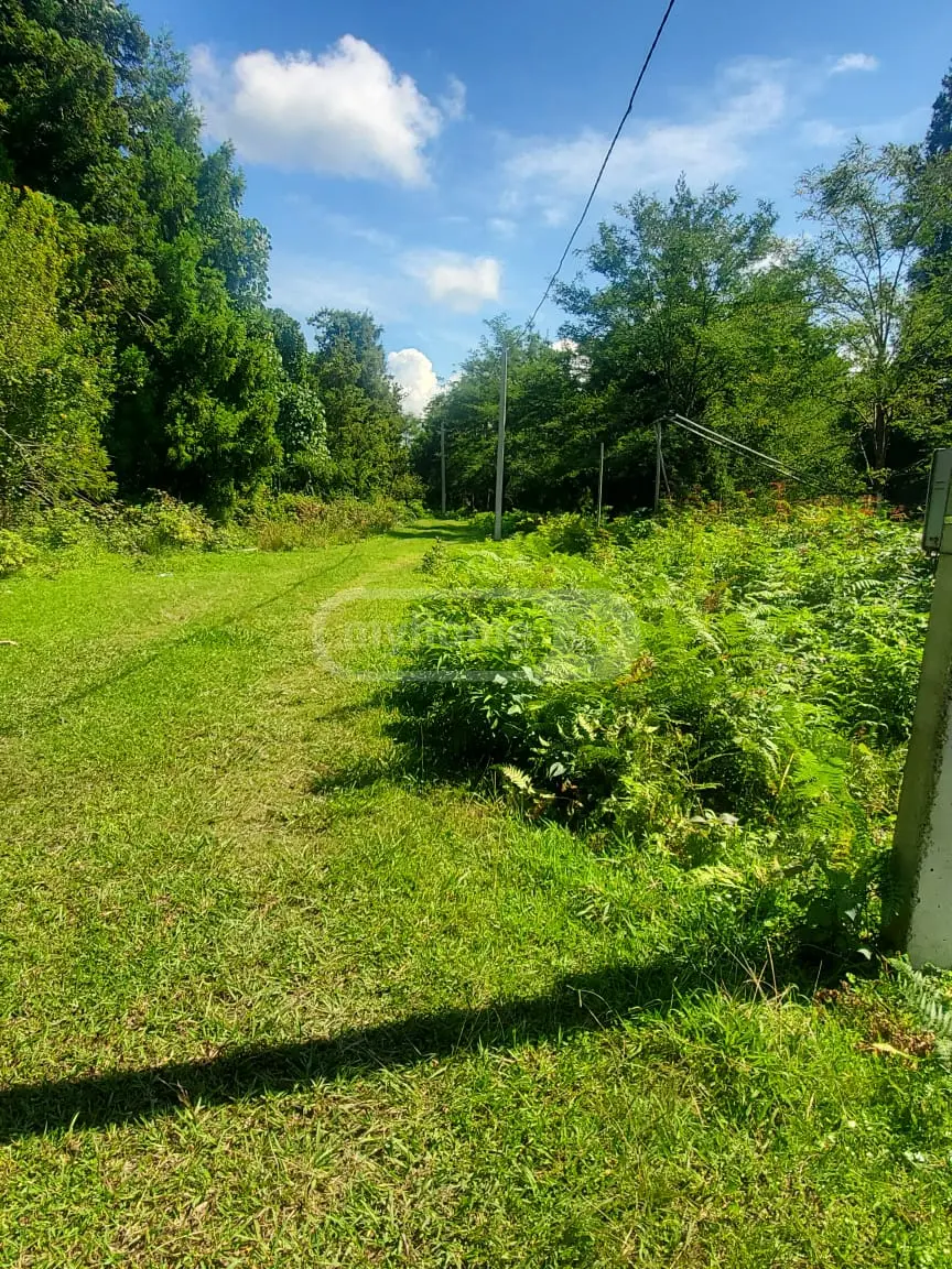Agricultural Plot For Sale In Ureki, In Ozurgeti Municipality view 10
