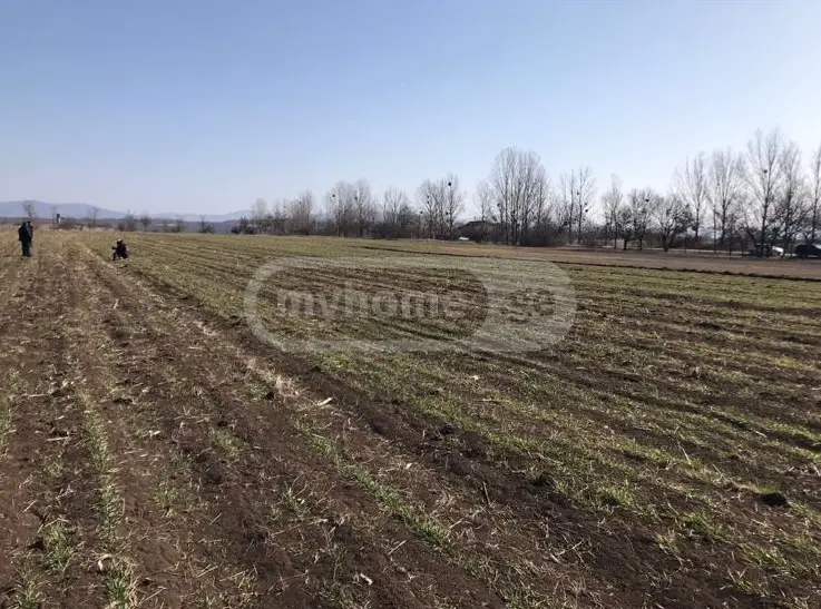 იყიდება Agricultural Plot In Dushetiში view 1