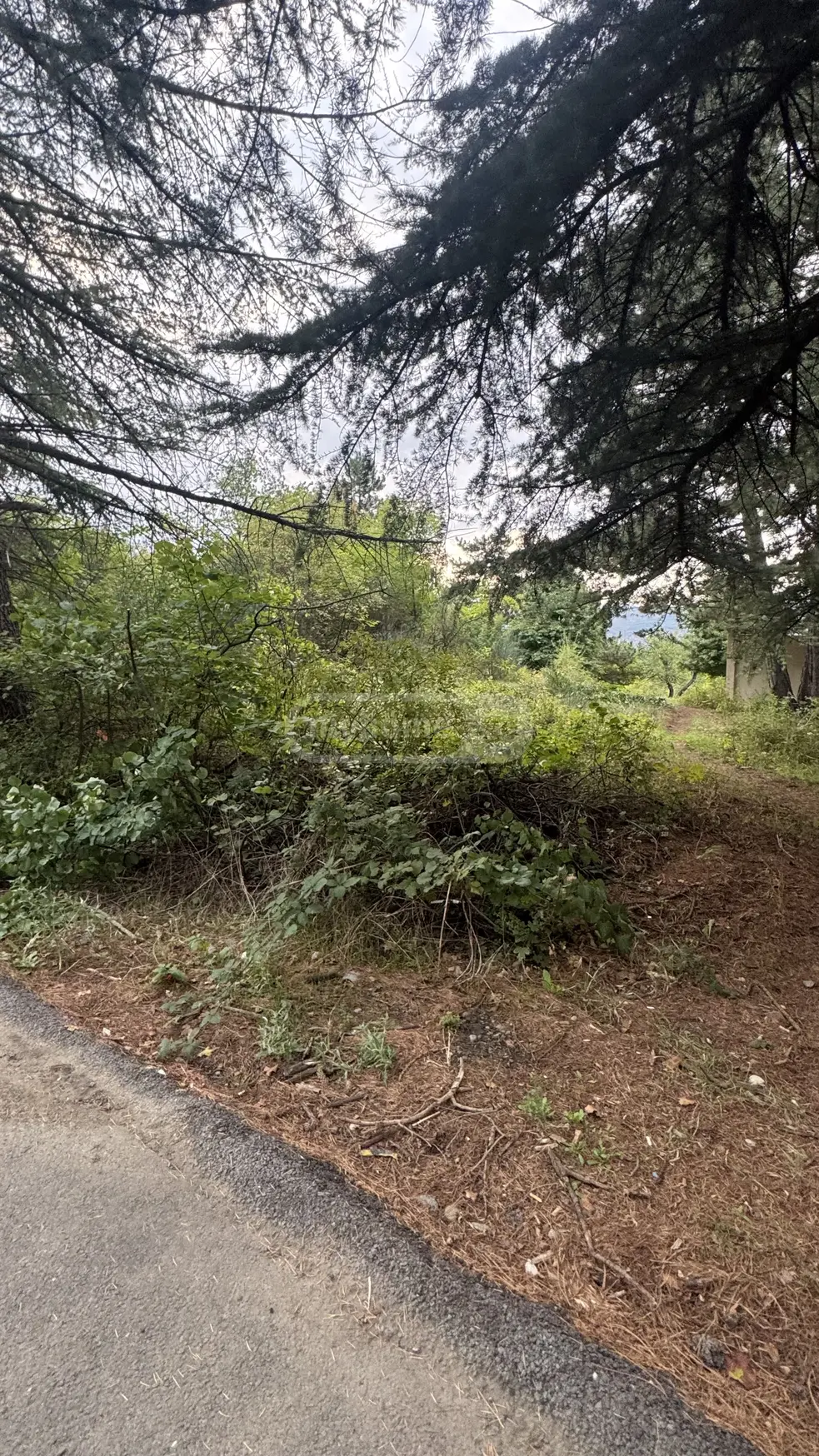 Non-Agricultural Plot For Sale In Tskneti view 5