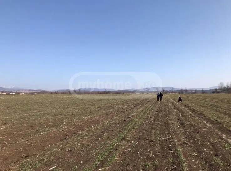 იყიდება Agricultural Plot In Dushetiში view 4