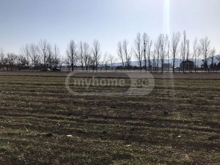 იყიდება Agricultural Plot In Dushetiში view 5