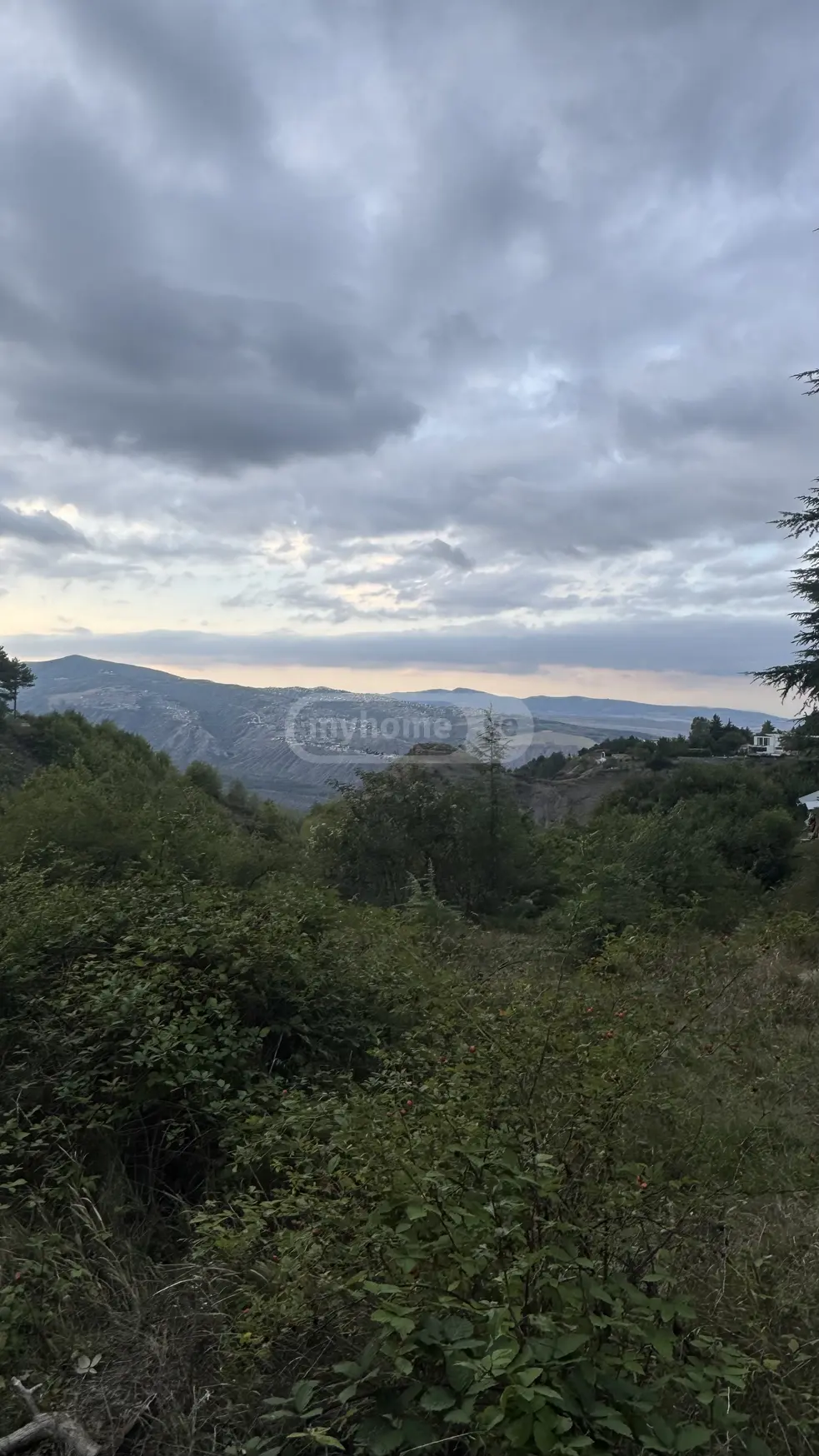 Non-Agricultural Plot For Sale In Tskneti view 6
