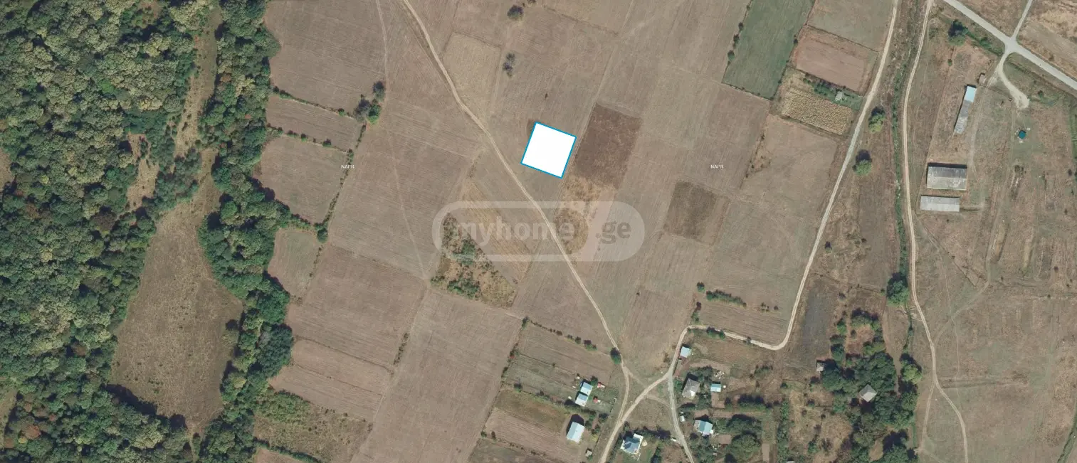 იყიდება Agricultural Plot In Ghulelebi, In Tianeti Municipalityში view 1