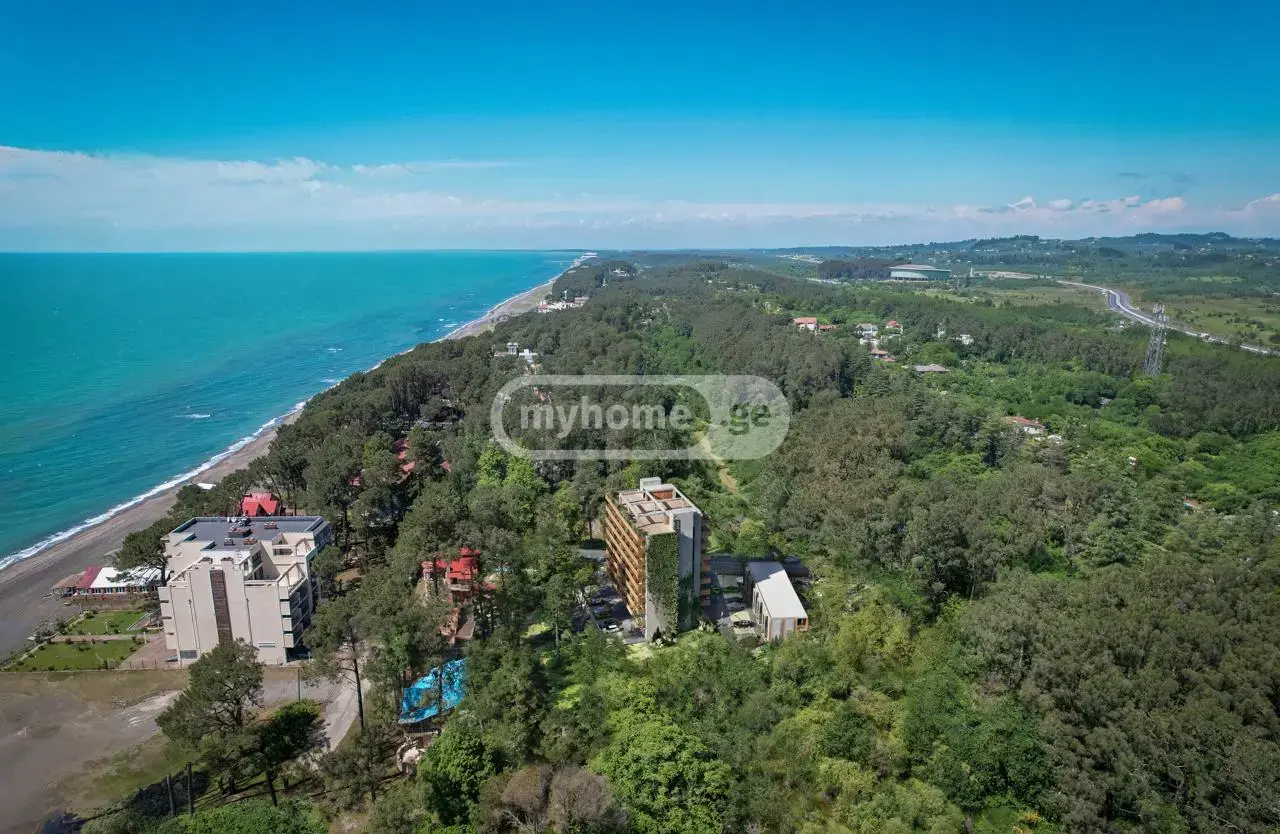 Non-Agricultural Plot For Sale In Shekvetili, In Ozurgeti Municipality view 10