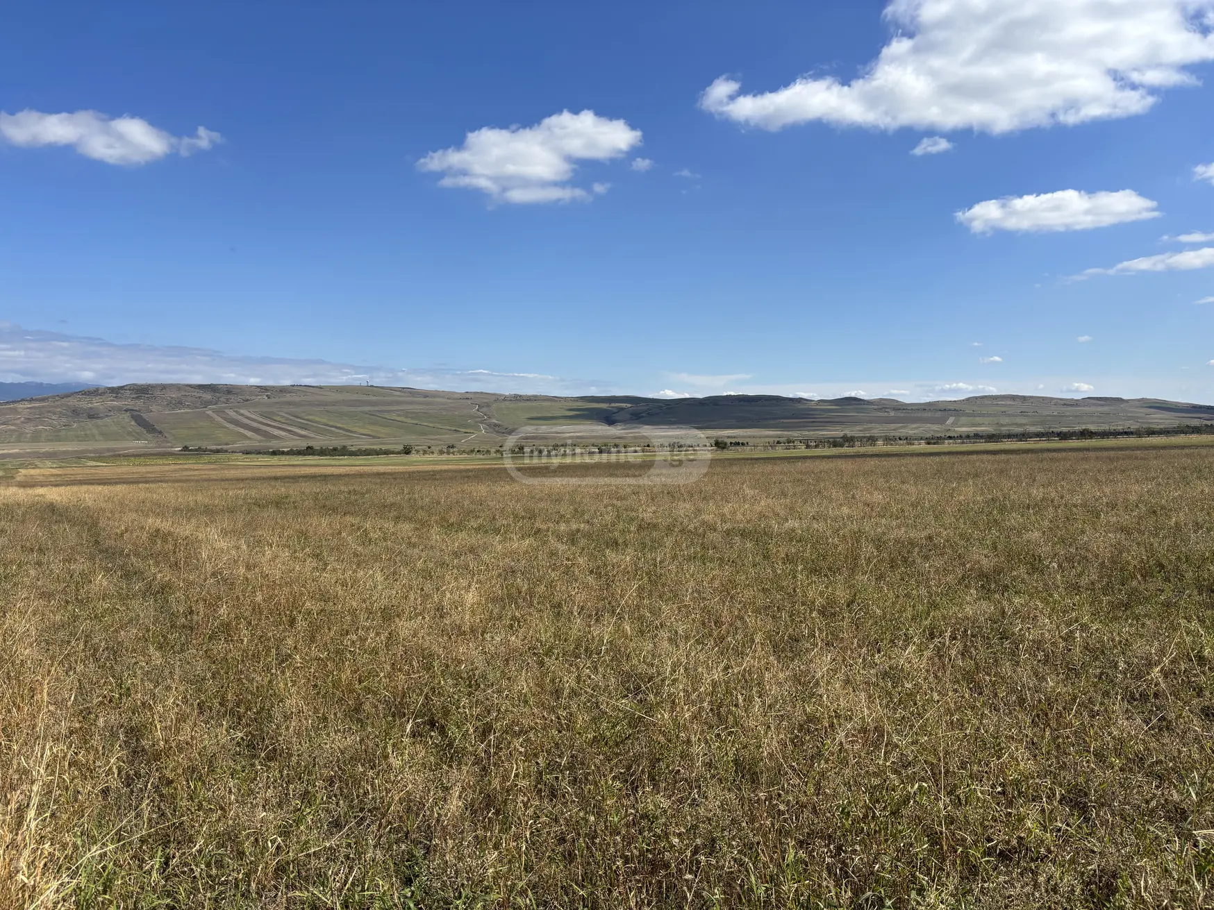 Продажа Agricultural Plot в In Khashmi, In Sagarejo Municipality view 1