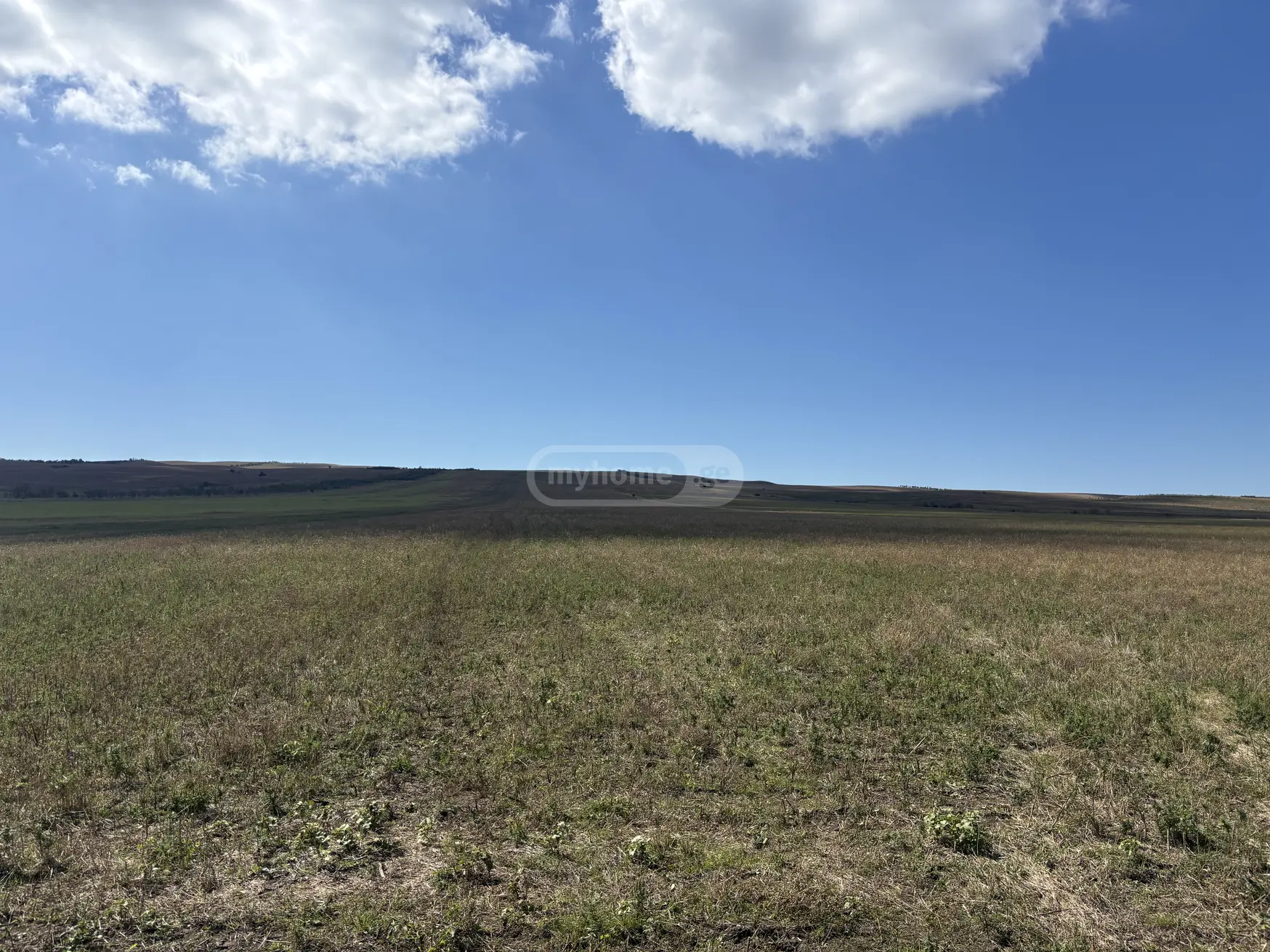 Продажа Agricultural Plot в In Khashmi, In Sagarejo Municipality view 3