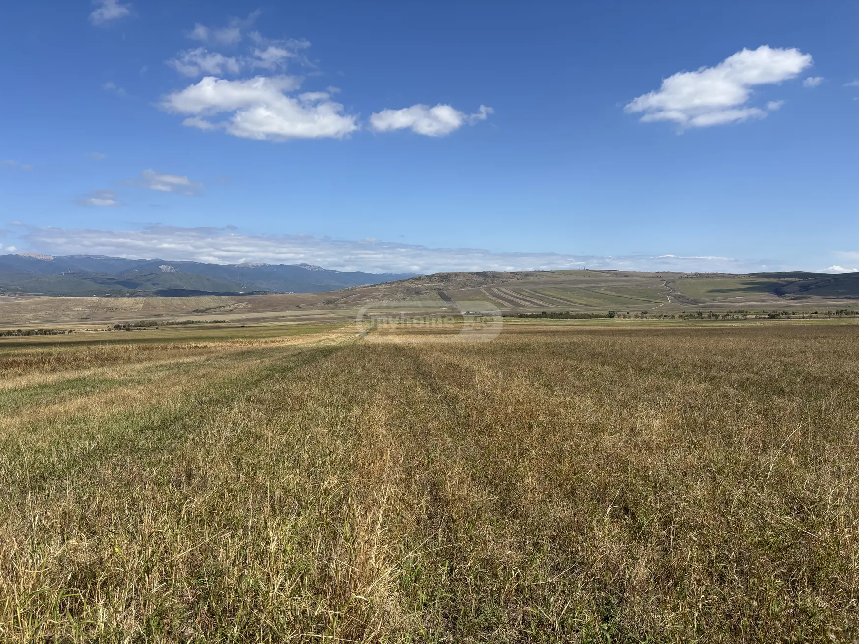 Продажа Agricultural Plot в In Khashmi, In Sagarejo Municipality view 2