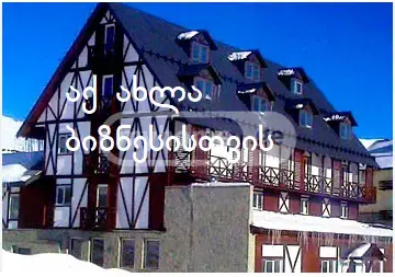 Universal Commercial Area For Sale In Suburbs Of Tbilisi, In Gudauri view 1