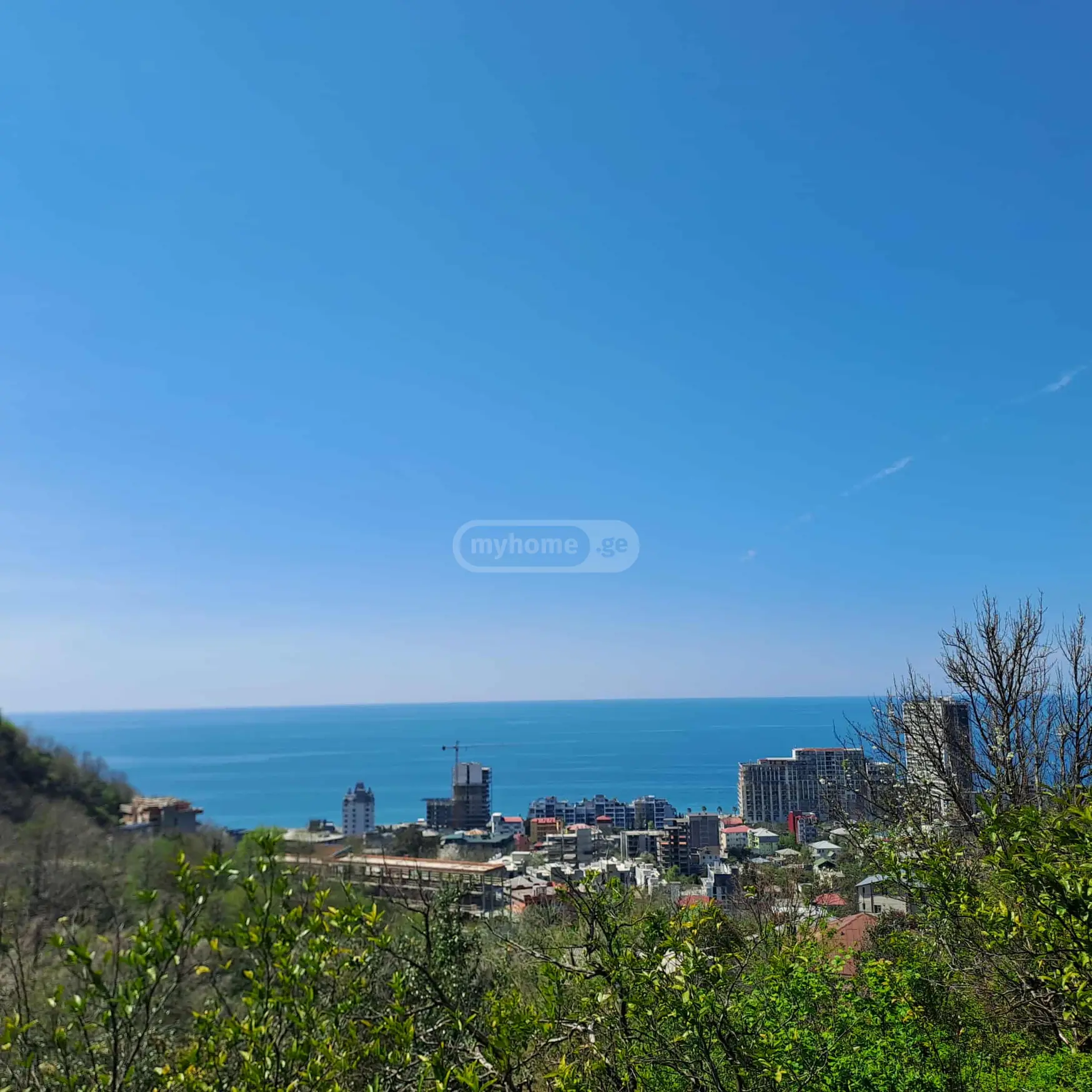 Agricultural Plot For Sale In Gonio, In Khelvachauri Municipality view 1