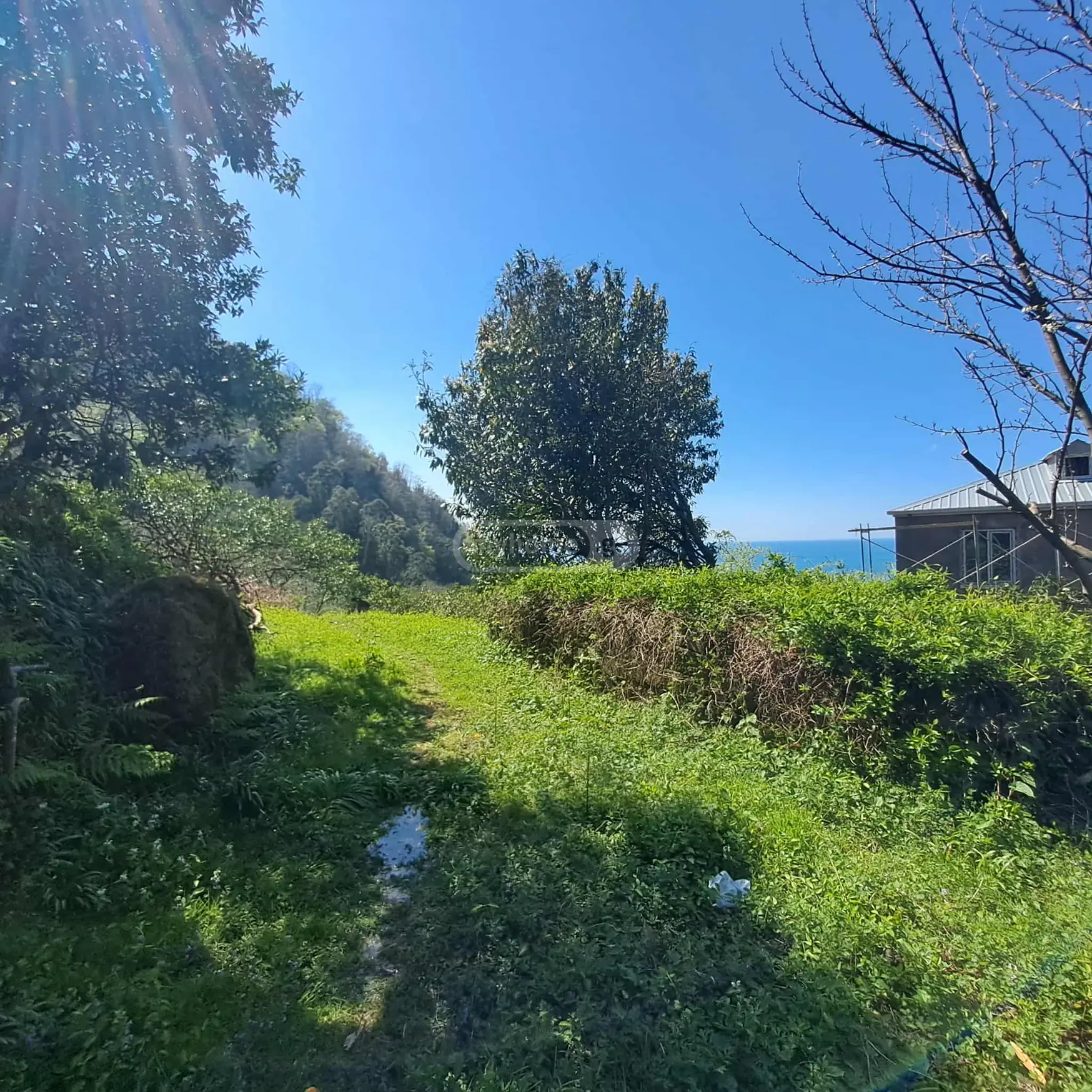 Agricultural Plot For Sale In Gonio, In Khelvachauri Municipality view 4