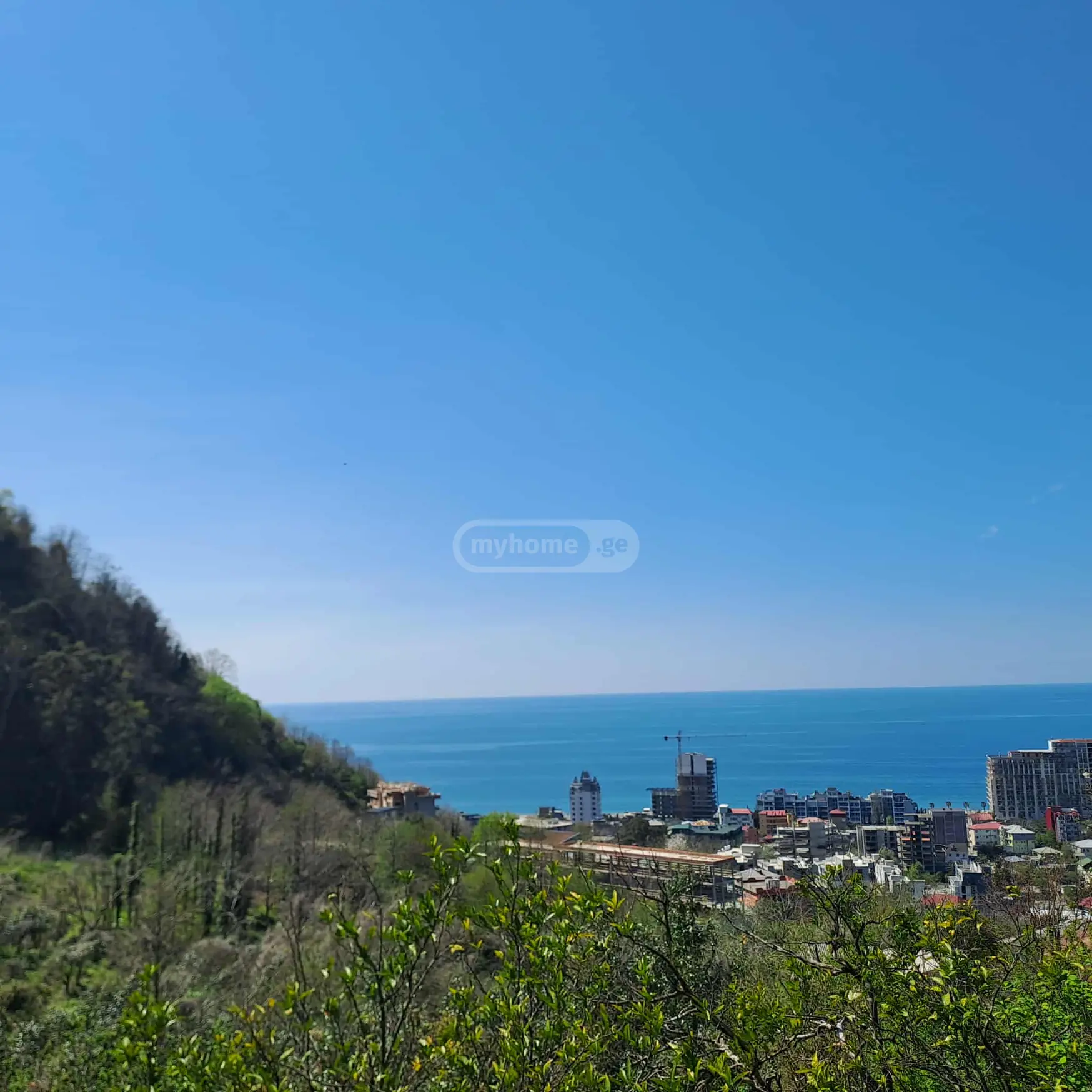 Agricultural Plot For Sale In Gonio, In Khelvachauri Municipality view 2