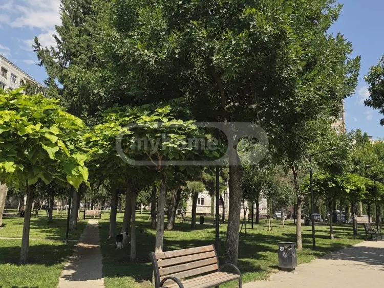 Universal Commercial Area For Sale In Varketili view 10