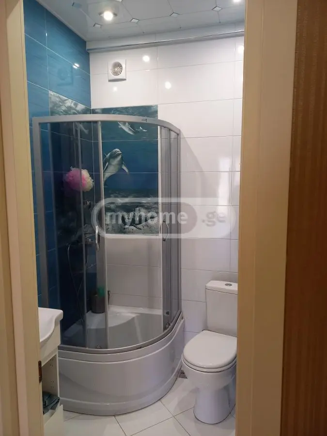 8 Room Country House Daily Rent In Kojori view 4