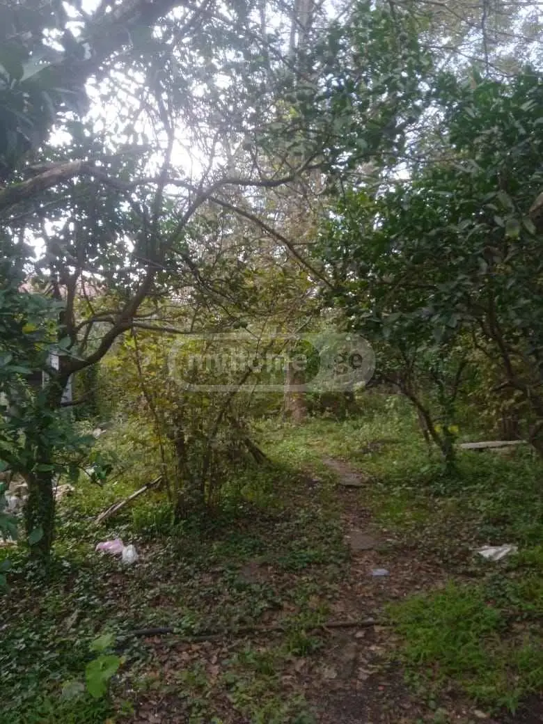 10+ Room Private House For Sale In Foti view 8