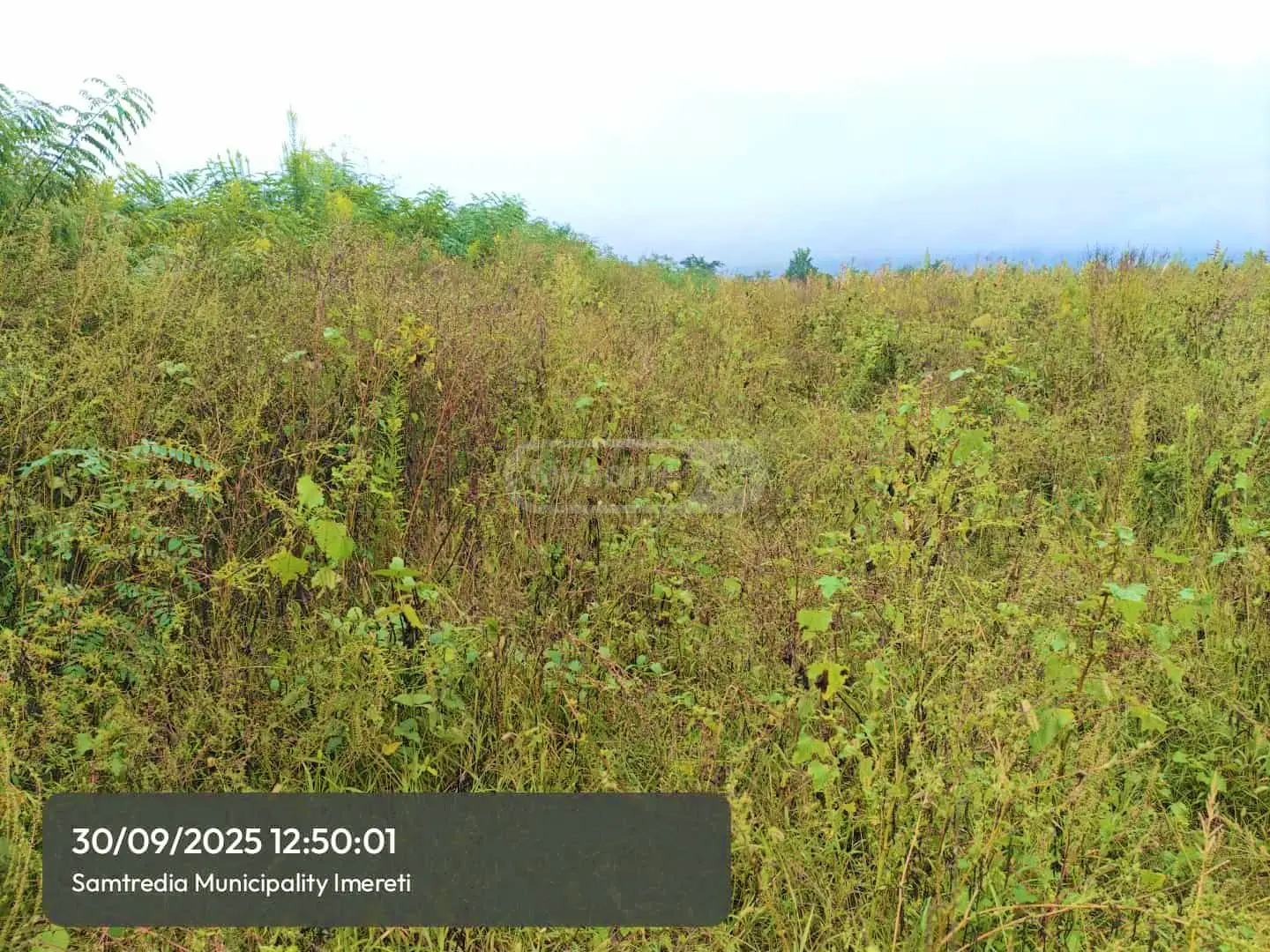 Agricultural Plot For Sale In Samtredia view 3