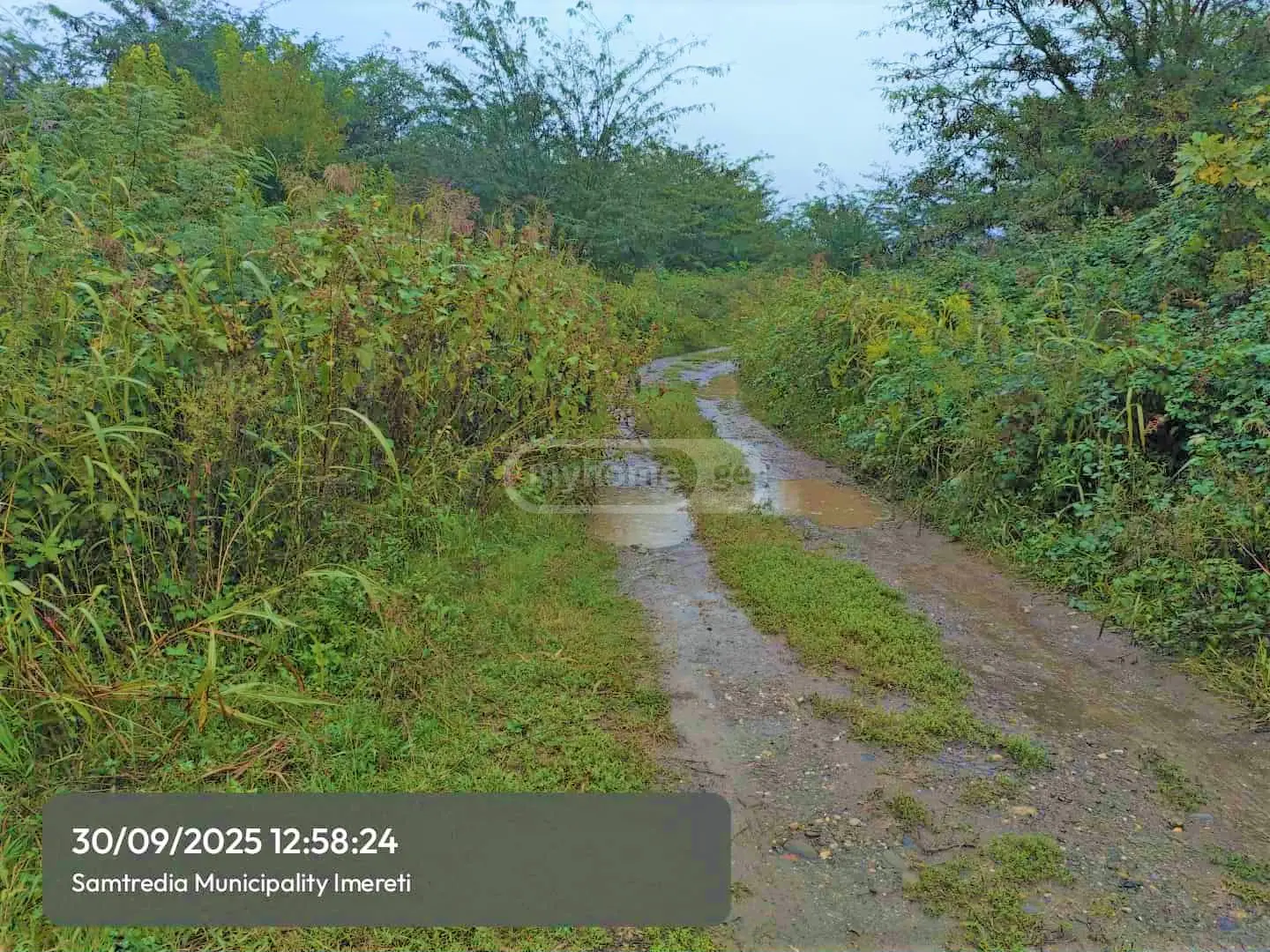Agricultural Plot For Sale In Samtredia view 4