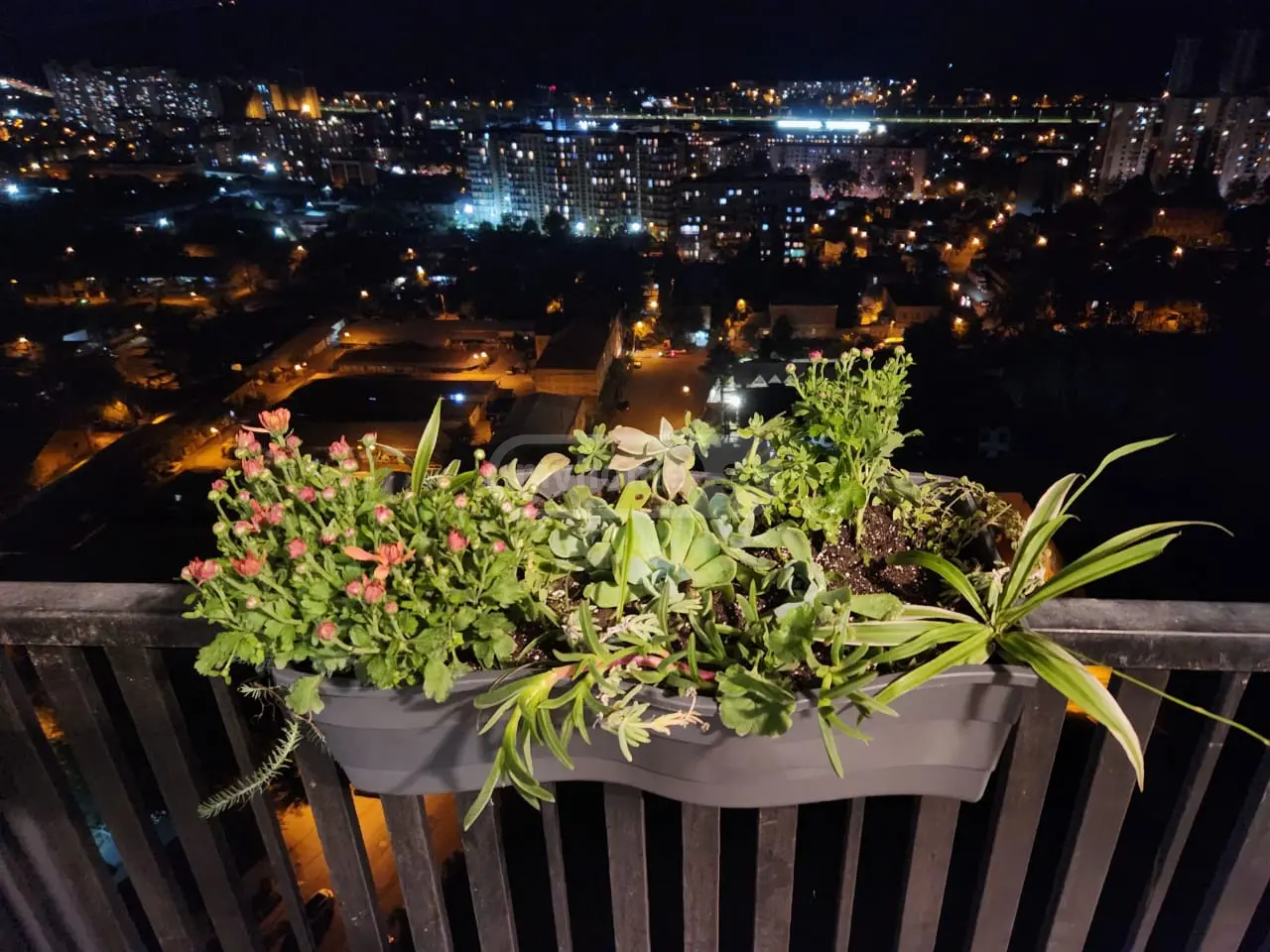 2 Room Apartment Daily Rent In Isani view 9
