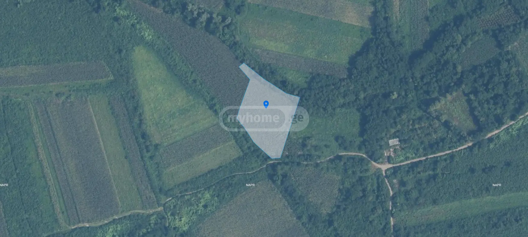 Agricultural Plot For Sale In Samtredia view 4