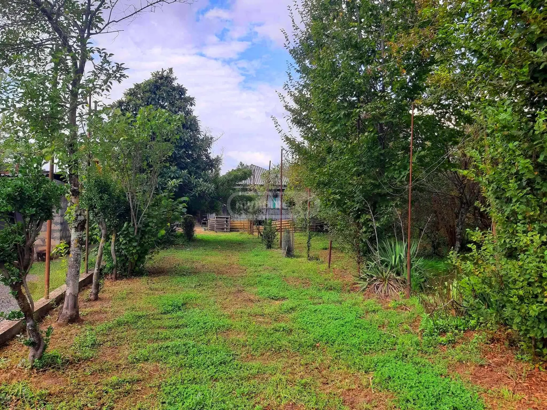 Agricultural Plot For Sale In Zugdidi view 3