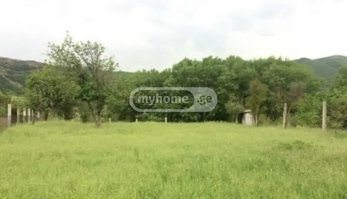 Agricultural Plot For Sale In Gurjaani view 1