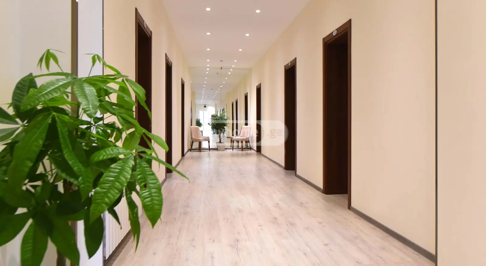 10+ Room Hotel For Rent In Didube view 3