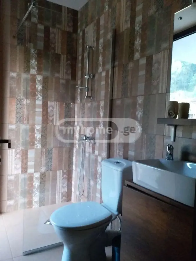 5 Room Private House Daily Rent In Bakuriani view 9