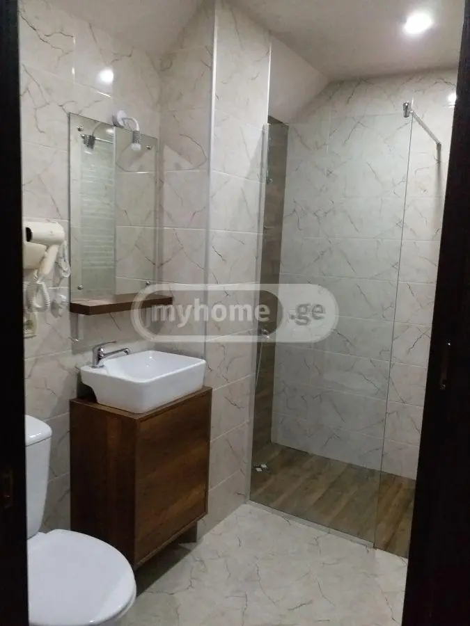 5 Room Private House Daily Rent In Bakuriani view 6