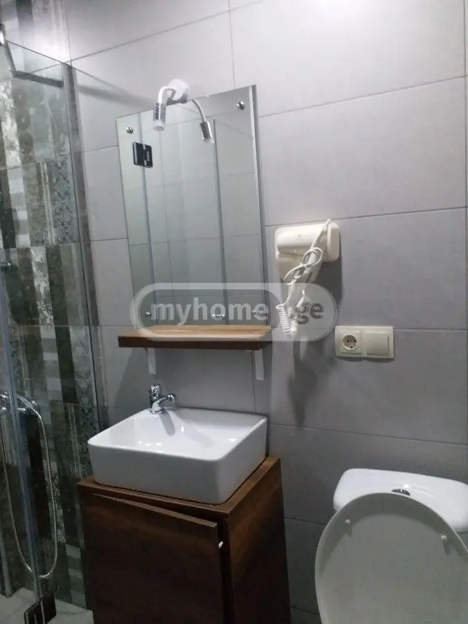 5 Room Private House Daily Rent In Bakuriani view 11
